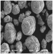 星空官方網頁版