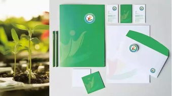 卓藝匠心 淄博高新區第五小學品牌形象與校園文化設計融合軟件設計新思維